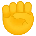 ✊ Kepalan Tangan Diangkat Google