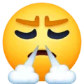 😤 Mengeluarkan Nafas dari Hidung Facebook