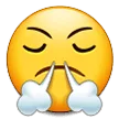 😤 Mengeluarkan Nafas dari Hidung Samsung