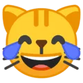 😹 Kucing Tertawa Sampai Menangis Google