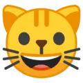 😺 Wajah Menyeringai Kucing Google