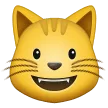 😺 Wajah Menyeringai Kucing Samsung