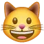 😺 Wajah Menyeringai Kucing WhatsApp
