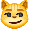 😼 Kucing Berwajah Masam Facebook
