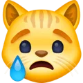 😿 Kucing Menangis Facebook