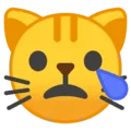 😿 Kucing Menangis Google