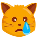 😿 Kucing Menangis Messenger