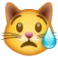 😿 Kucing Menangis WhatsApp
