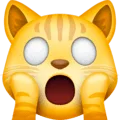🙀 Kucing Lelah Emosional Facebook