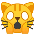 🙀 Kucing Lelah Emosional Google
