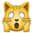 🙀 Kucing Lelah Emosional Samsung