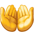 🤲 Tangan Menadah Facebook