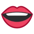 👄 Bibir HTC