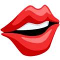 👄 Bibir Messenger