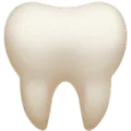 🦷 Gigi Apple