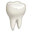 🦷 Gigi WhatsApp