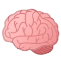 🧠 Otak Google