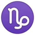 ♑ Capricorn Google
