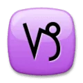 ♑ Capricorn LG