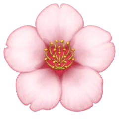 🌸 Bunga Sakura Facebook