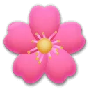 🌸 Bunga Sakura LG
