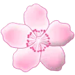 🌸 Bunga Sakura Samsung