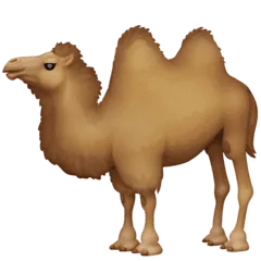 🐫 Unta Berpunuk Dua Facebook