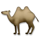🐫 Unta Berpunuk Dua LG