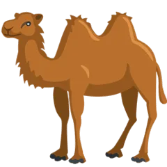 🐫 Unta Berpunuk Dua Messenger