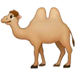 🐫 Unta Berpunuk Dua Samsung