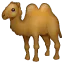 🐫 Unta Berpunuk Dua Whatsapp