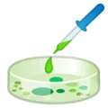 🧫 Cawan Petri Google