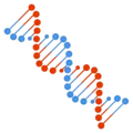 🧬 DNA Google