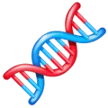🧬 DNA WhatsApp
