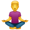 🧘 Orang dalam Posisi Lotus WhatsApp