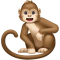 🐒 Monyet Facebook