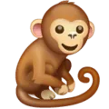 🐒 Monyet WhatsApp