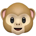 🐵 Wajah Monyet Apple