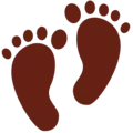 👣 Jejak Kaki Twitter