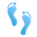 👣 Jejak Kaki