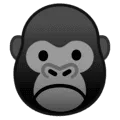 🦍 Gorila Google