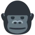 🦍 Gorila Twitter