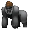 🦍 Gorila WhatsApp