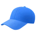 🧢 Topi Apple