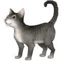 🐈 Kucing Facebook
