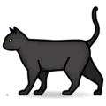🐈 Kucing
