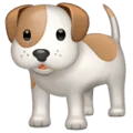🐕 Anjing WhatsApp