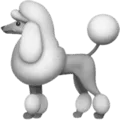 🐩 Anjing Pudel Apple
