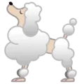 🐩 Anjing Pudel Google