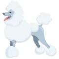 🐩 Anjing Pudel Messenger 1